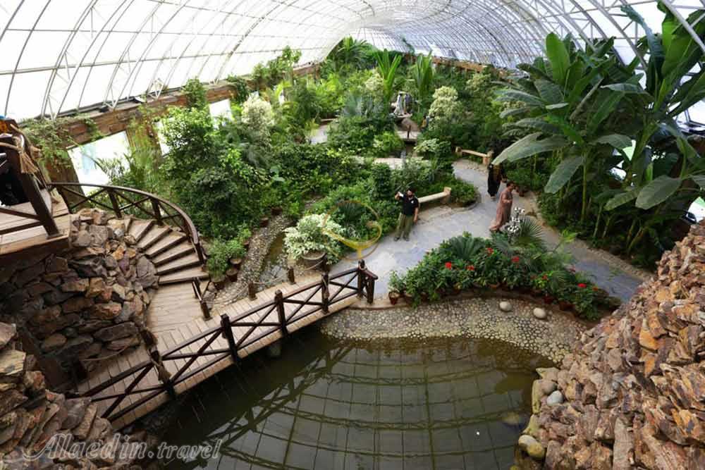 باغ و موزه گیاه‌شناسی برلین | علاءالدین تراول