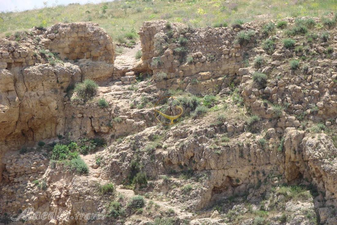 منطقه حفاظت شده بیجار | علاءالدین تراول