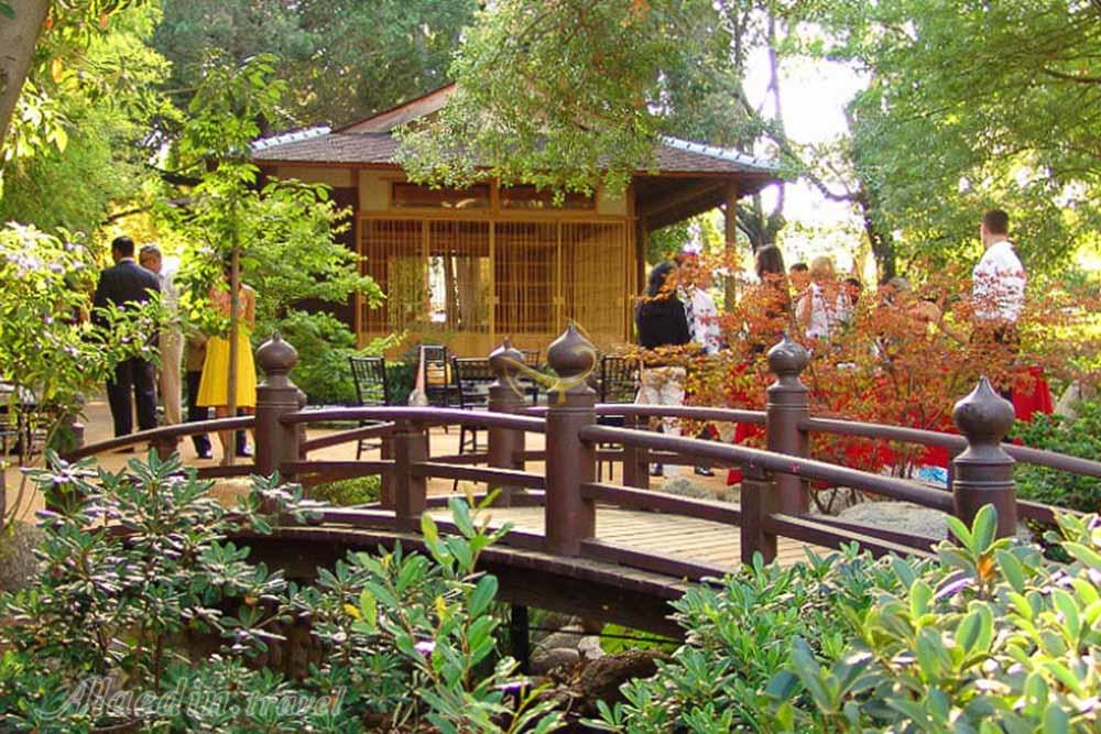 شاندیز مشهد | علاءالدین تراول