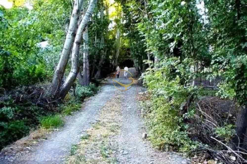 منطقه ییلاقی طرقبه بینالود | علاءالدین تراول