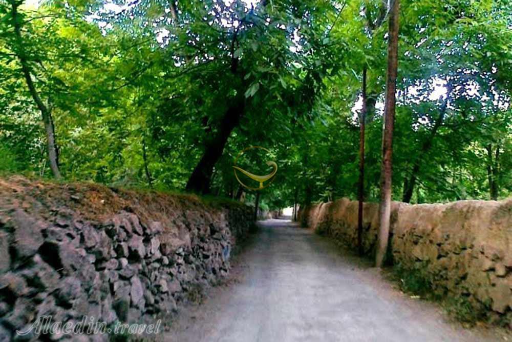 منطقه ییلاقی طرقبه بینالود | علاءالدین تراول