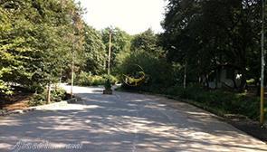 پارک جنگلی بیرجند