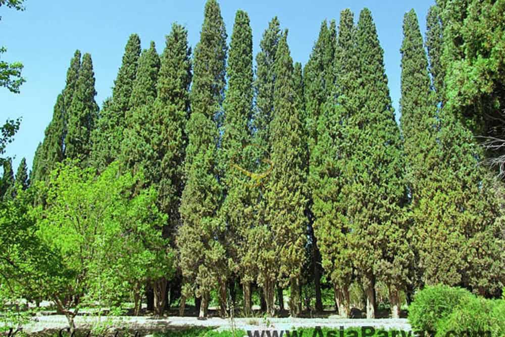 باغ و عمارت رحیم آباد در بیرجند | علاءالدین تراول