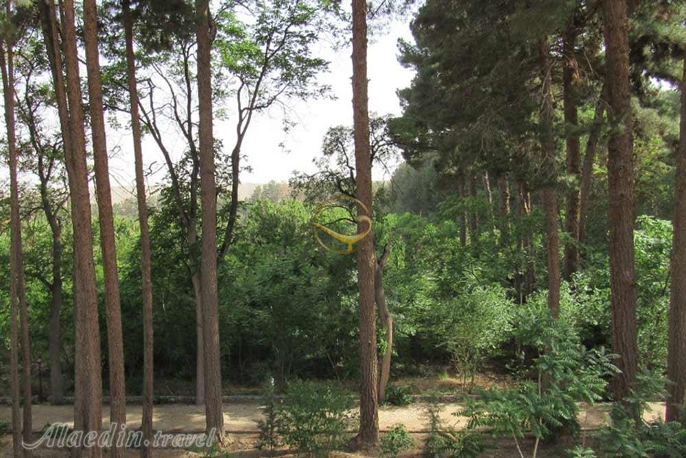 باغ و عمارت شوکت آباد بیرجند | علاءالدین تراول