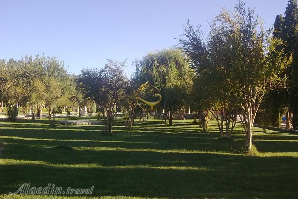 پارک توحید بیرجند | علاءالدین تراول