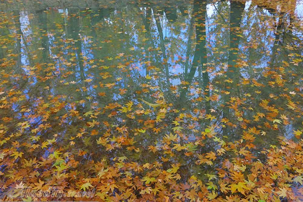 پارک بابا امان بجنورد | علاءالدین تراول