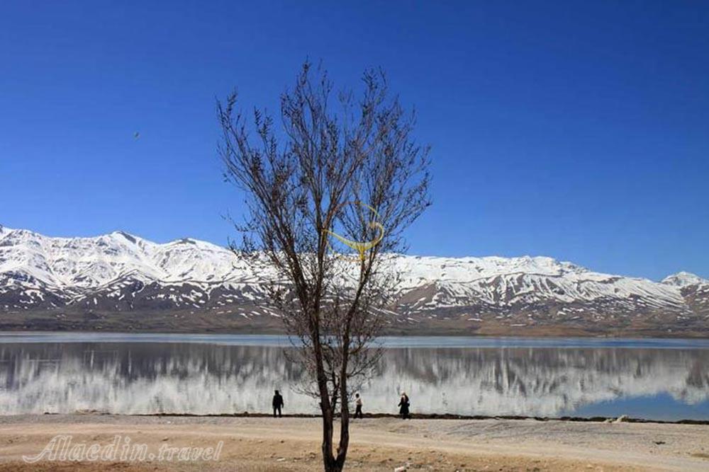 تالاب چغاخور بروجن | علاءالدین تراول