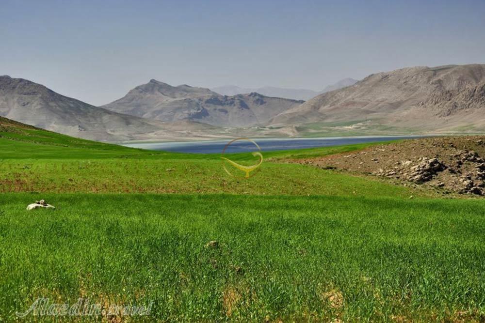 تالاب چغاخور بروجن | علاءالدین تراول