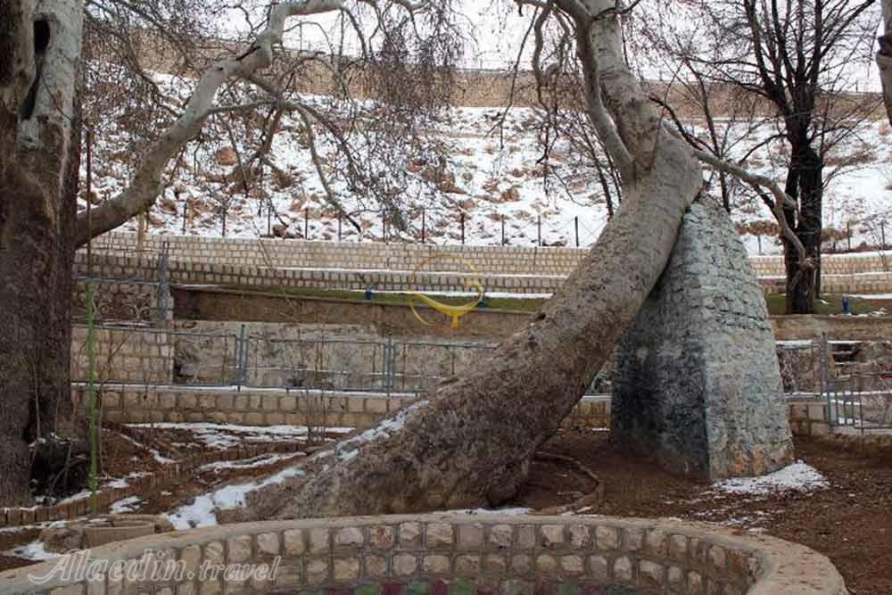 گردشگاه سیاسرد در بروجن | علاءالدین تراول