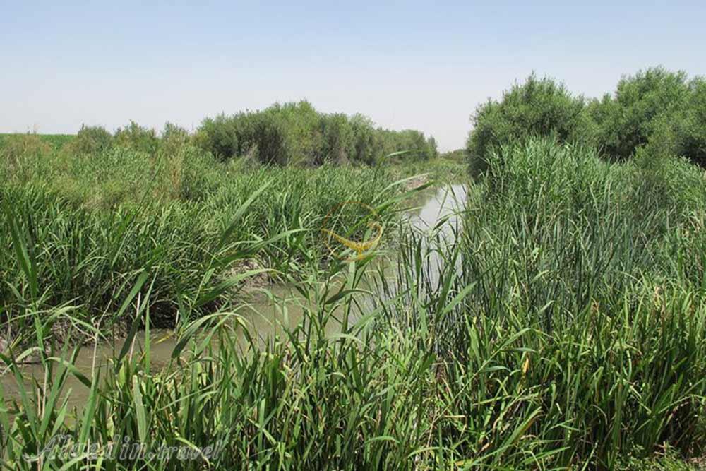 تالاب بیشه دالان بروجرد | علاءالدین تراول