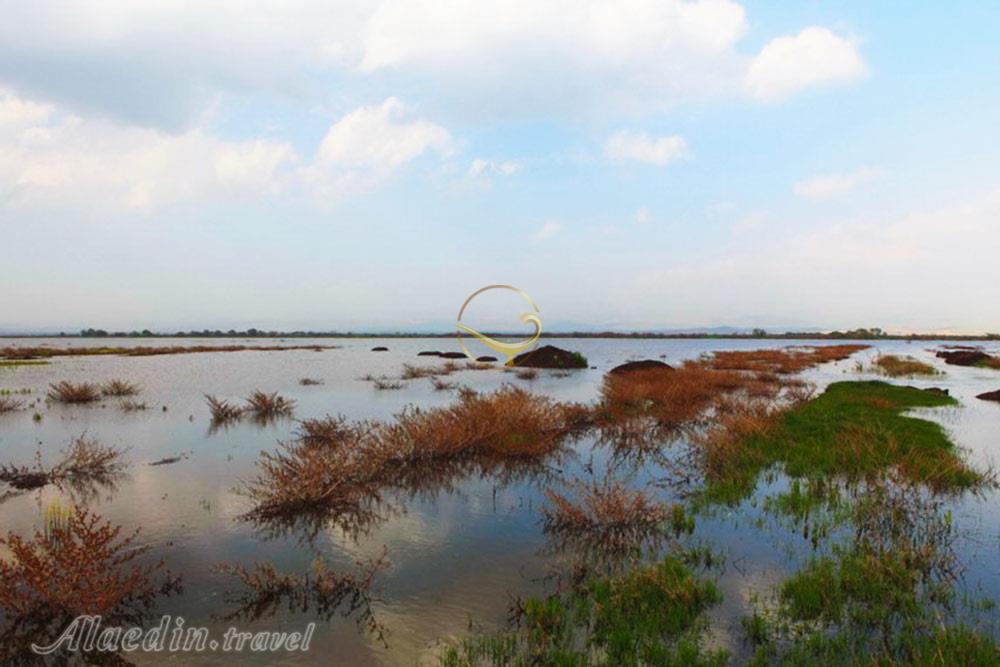 تالاب بیشه دالان بروجرد | علاءالدین تراول