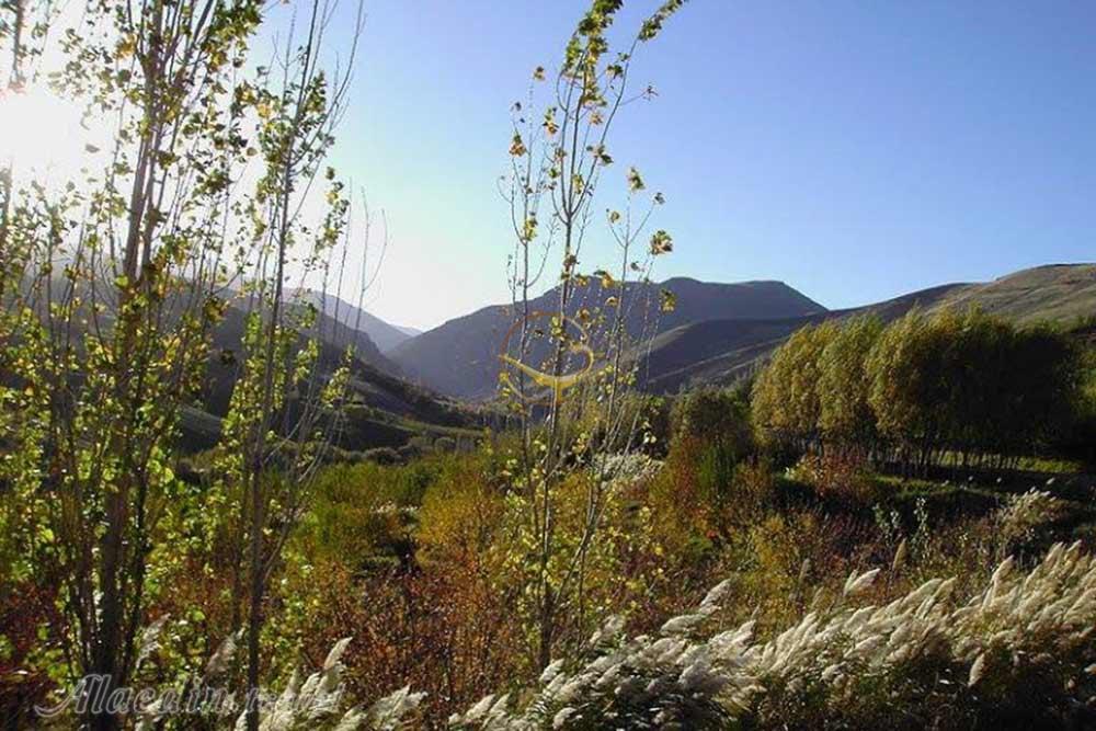 منطقه گلدشت بروجرد | علاءالدین تراول