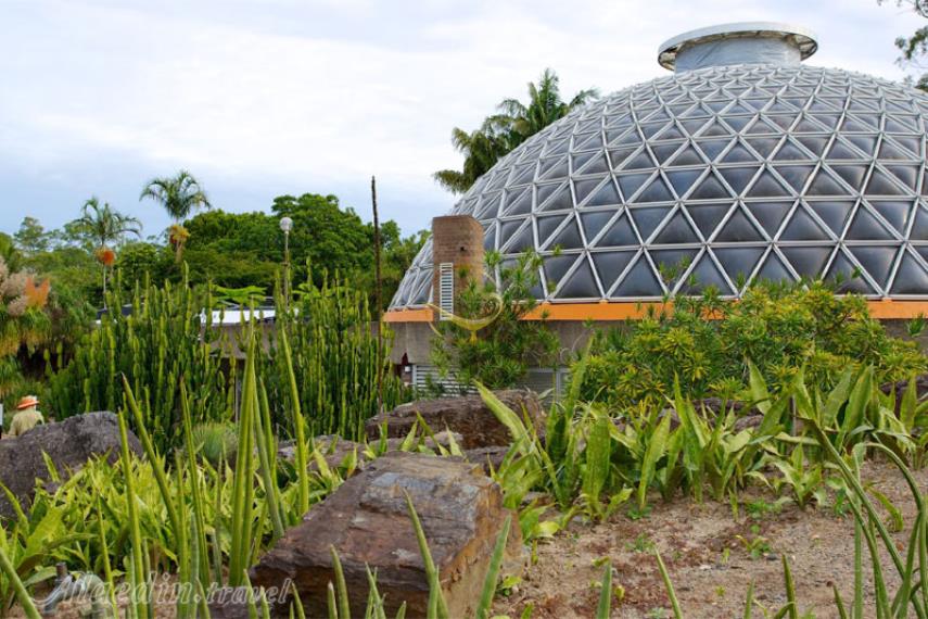 باغ های گیاه شناسی شهر بریزبن | علاالدین تراول