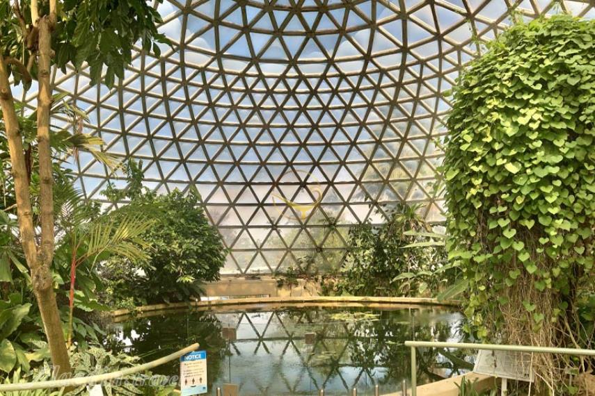 باغ های گیاه شناسی شهر بریزبن | علاالدین تراول