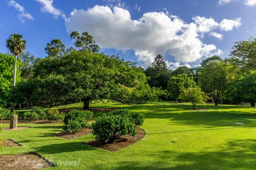 باغ های گیاه شناسی شهر بریزبن | علاالدین تراول