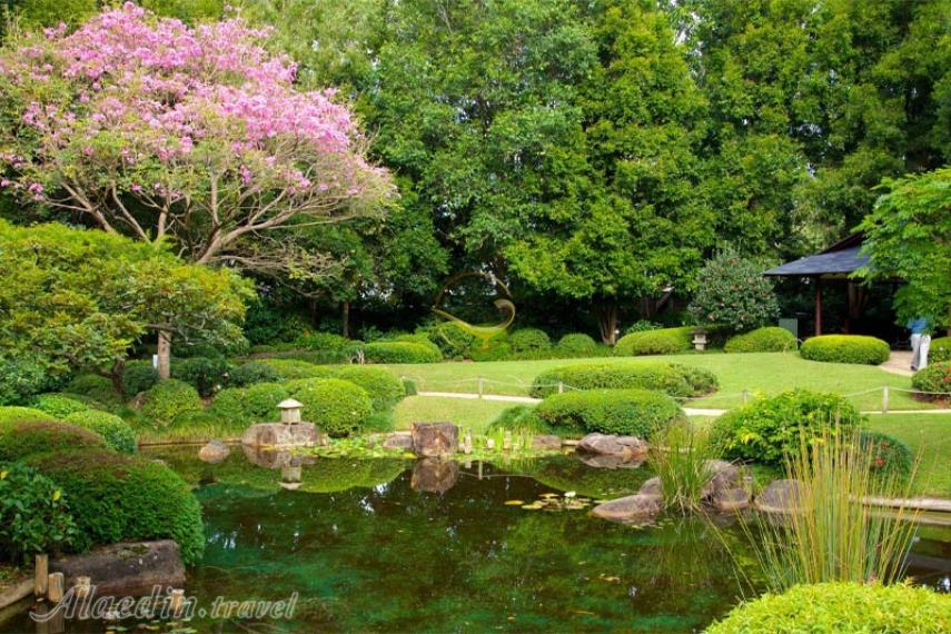 باغ های گیاه شناسی شهر بریزبن | علاالدین تراول