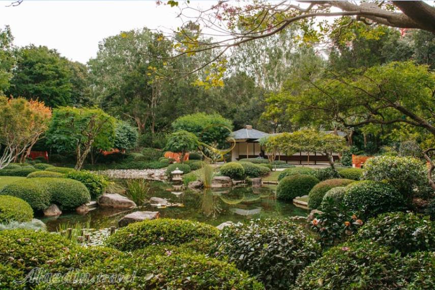 باغ های گیاه شناسی شهر بریزبن | علاالدین تراول