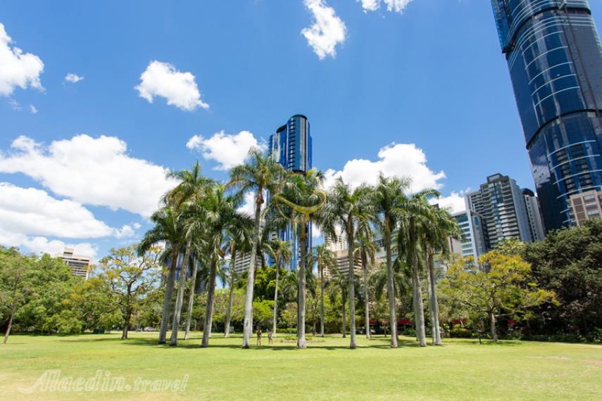 باغ های گیاه شناسی شهر بریزبن | علاالدین تراول