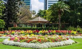 باغ‌های گیاه‌شناسی شهر بریزبن - استرالیا