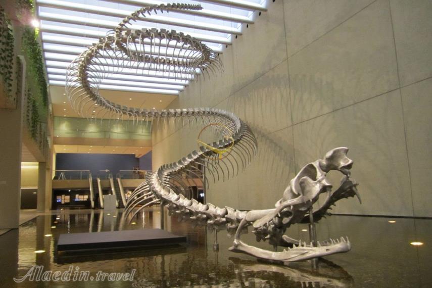 موزه کوئینزلند بریزبن | علاالدین تراول