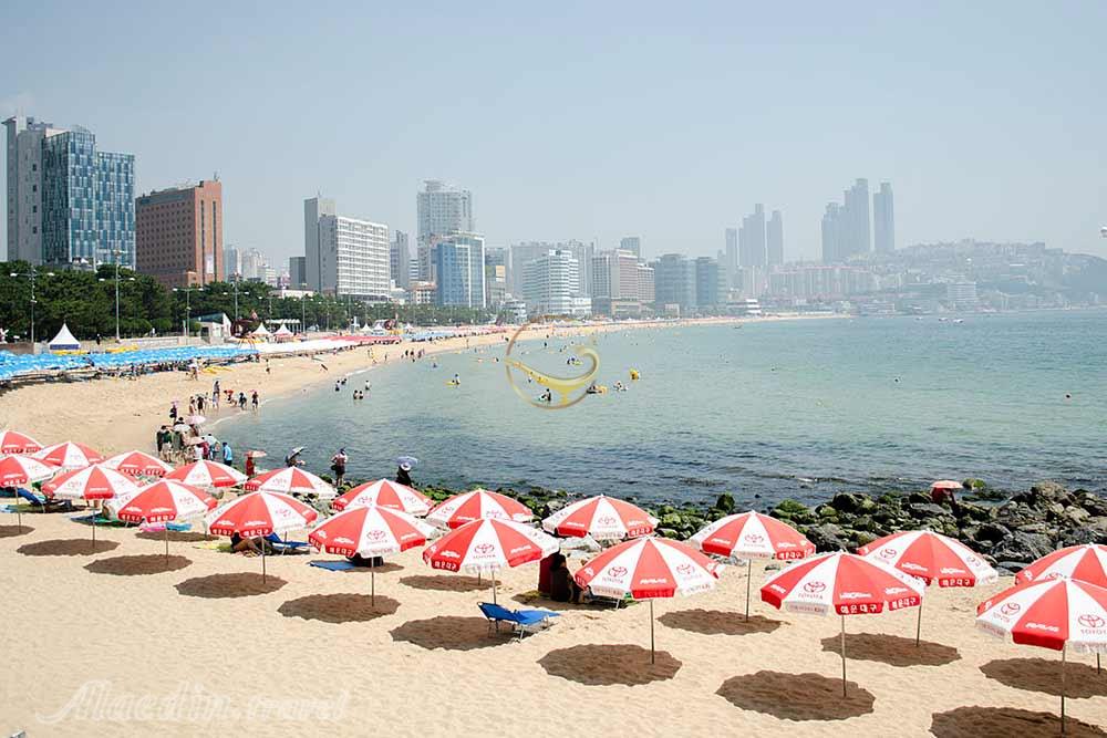 ساحل هیوندای بوسان | علاءالدین تراول