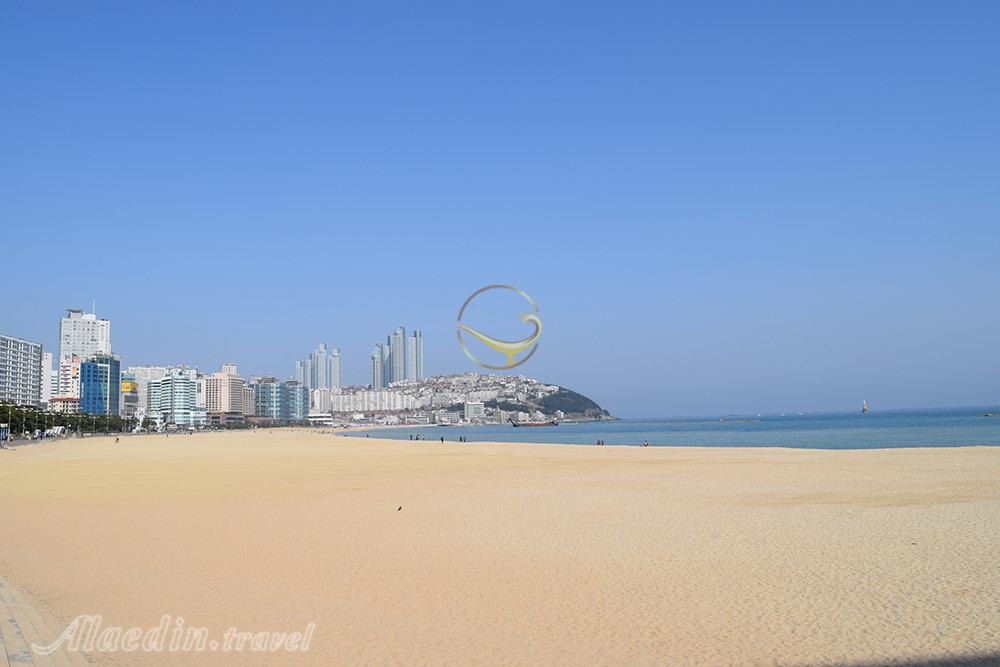 ساحل هیوندای بوسان | علاءالدین تراول