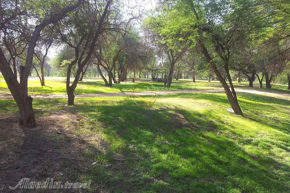 پارک جنگلی چاهکوتاه (چاه کوتاه) در بوشهر | علاءالدین تراول