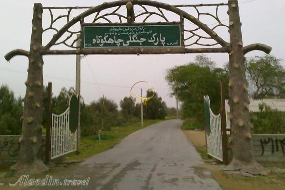 پارک جنگلی چاهکوتاه (چاه کوتاه) در بوشهر | علاءالدین تراول