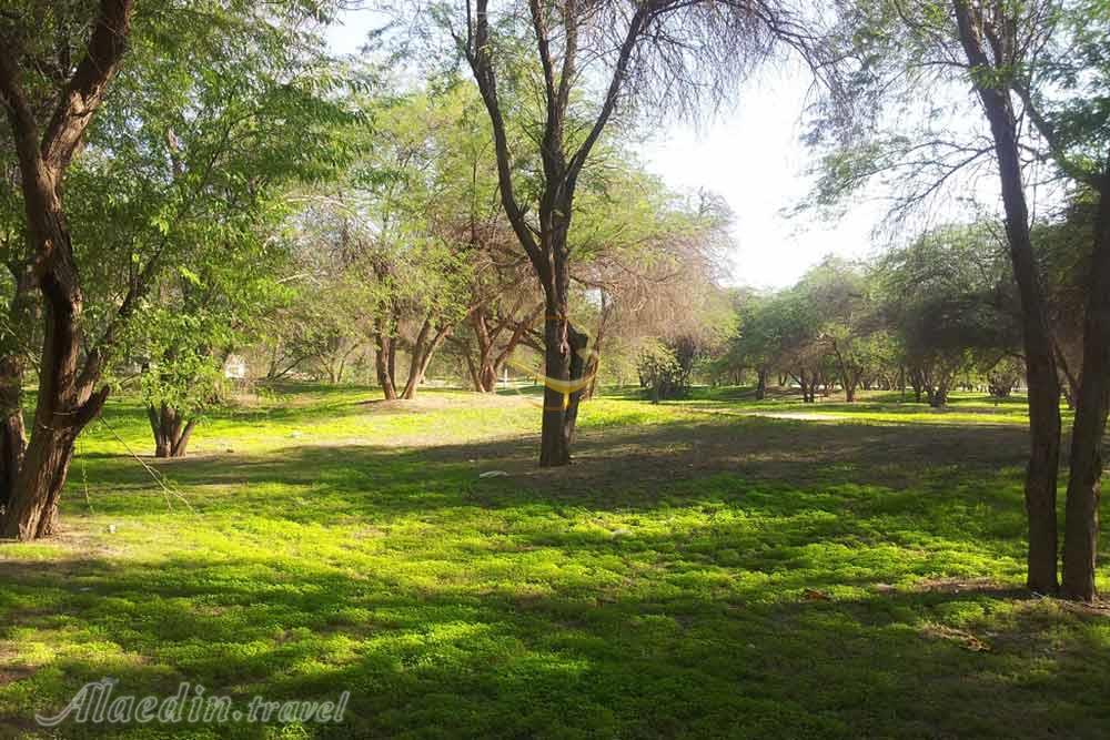 پارک جنگلی چاهکوتاه (چاه کوتاه) در بوشهر | علاءالدین تراول