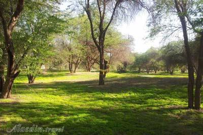 پارک جنگلی چاهکوتاه (چاه کوتاه) در بوشهر