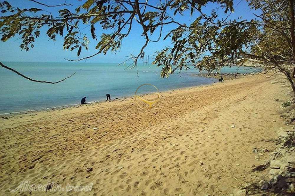 ساحل ریشهر بوشهر | علاءالدین تراول