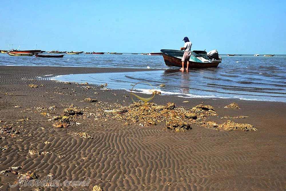 جزیره شیف در بوشهر | علاءالدین تراول