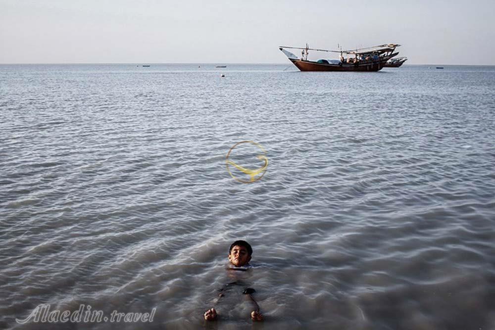 جزیره شیف در بوشهر | علاءالدین تراول