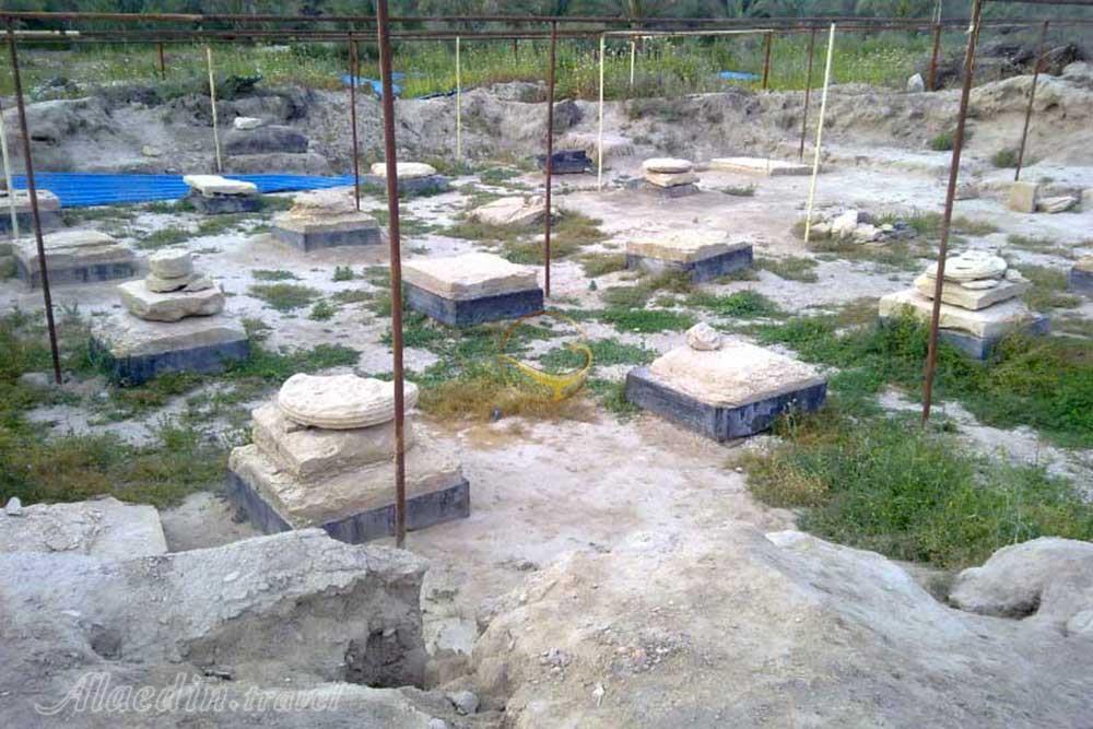 بردک سیاه بوشهر (شهر باستانی تموکن) | علاءالدین تراول