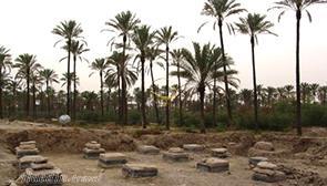 کاخ بردک سیاه بوشهر (شهر باستانی تموکن)