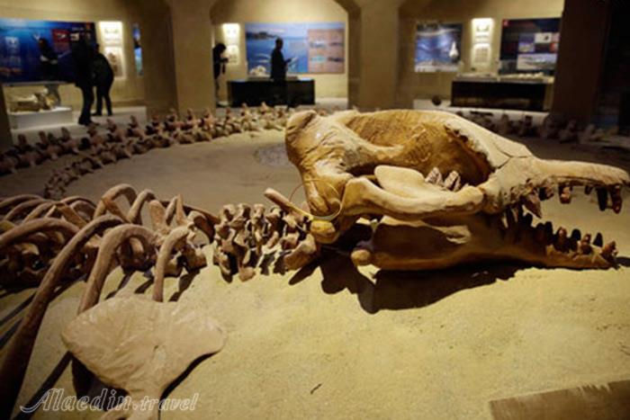 موزه مصر در قاهره