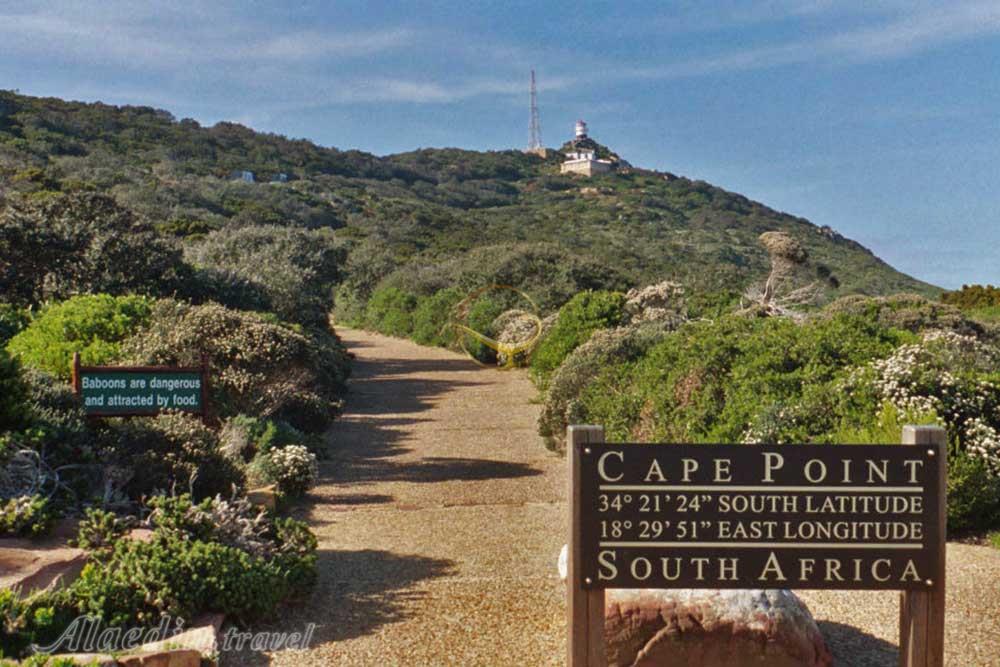 کیپ پوینت کیپ تاون آفریقای جنوبی | علاءالدین تراول