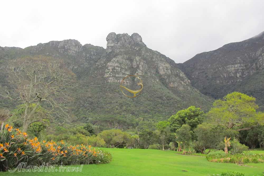 باغ گیاهشناسی ملی کریستن بوش کیپ تاون | علاءالدین تراول