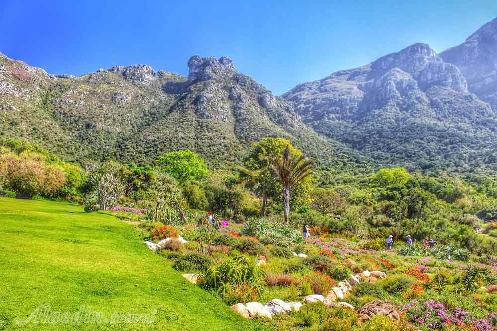 باغ گیاهشناسی ملی کریستن بوش کیپ تاون | علاءالدین تراول