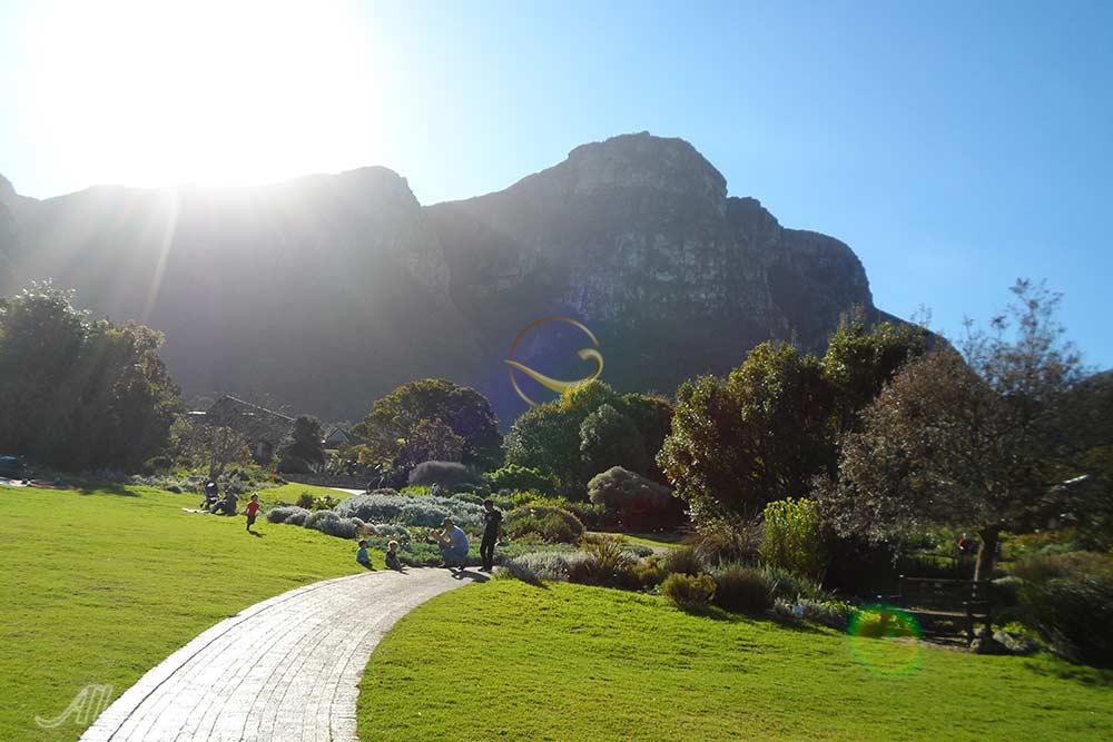 باغ گیاهشناسی ملی کریستن بوش کیپ تاون | علاءالدین تراول