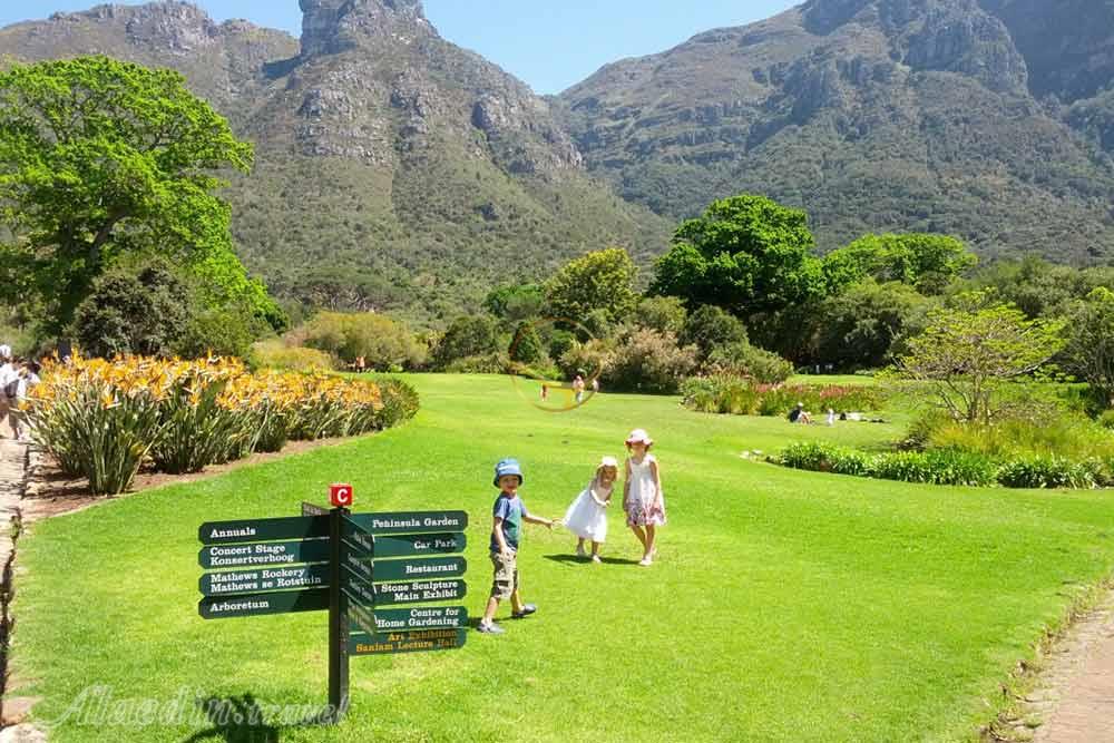 باغ گیاهشناسی ملی کریستن بوش کیپ تاون | علاءالدین تراول