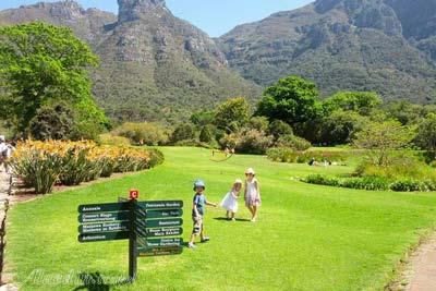 باغ گیاهشناسی ملی کرستنبوش کیپ تاون - آفریقای جنوبی