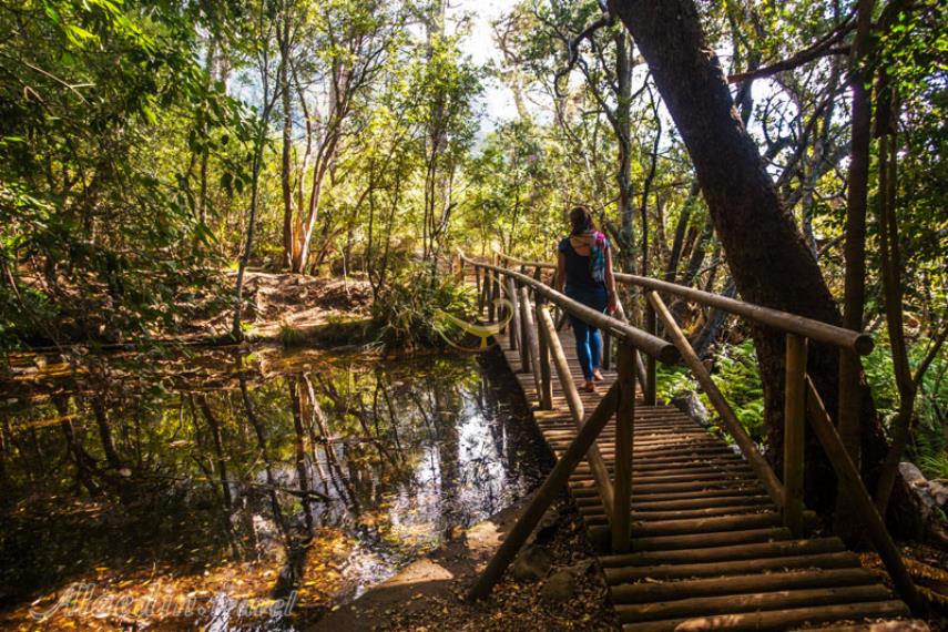 آبشار کرستنبوش کیپ تاون - آفریقای جنوبی