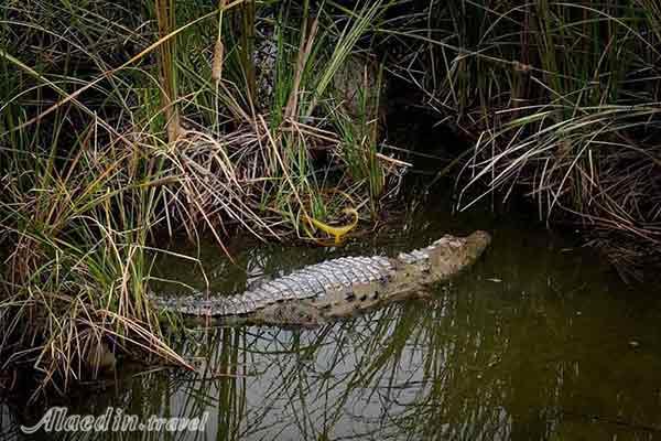 روستای باهوکلات چابهار (زیستگاه گاندو)