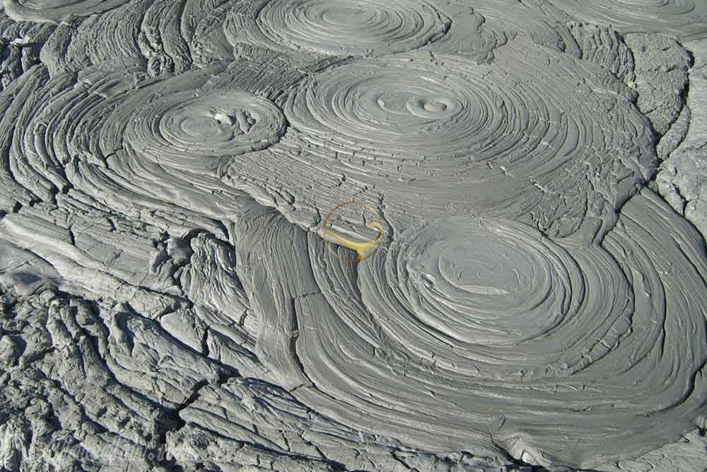 گل فشان چابهار | علاءالدین تراول