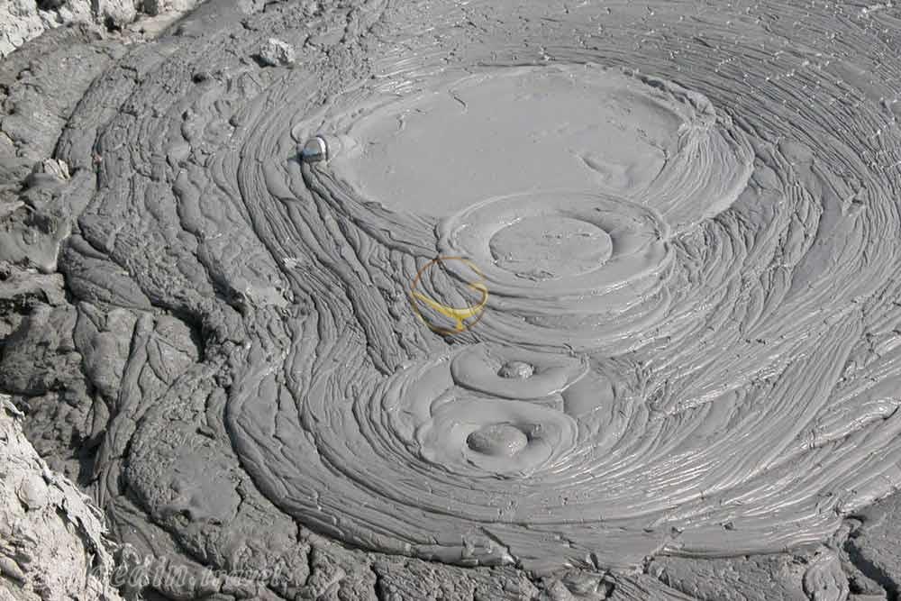 گل فشان چابهار | علاءالدین تراول