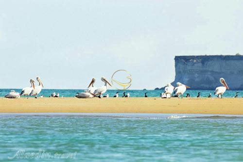 اسکله کنارک چابهار