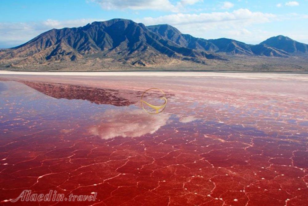 تالاب لیپار (تالاب صورتی) چابهار | علاءالدین تراول