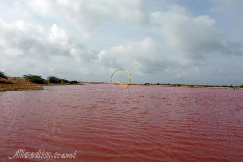 تالاب لیپار (تالاب صورتی) چابهار | علاءالدین تراول