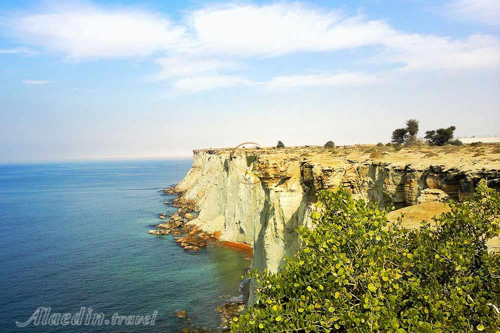 جنگل حراء چابهار | علاءالدین تراول